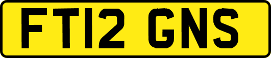 FT12GNS