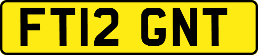 FT12GNT
