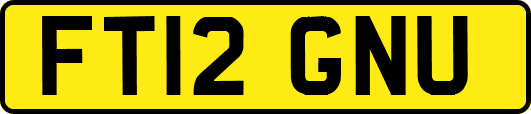 FT12GNU