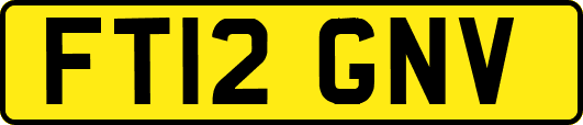FT12GNV