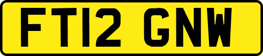 FT12GNW