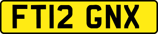 FT12GNX