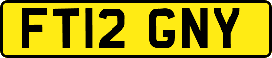 FT12GNY