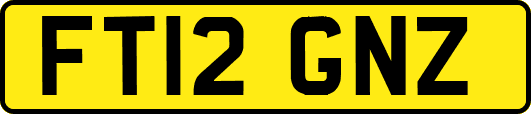 FT12GNZ