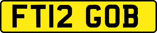 FT12GOB
