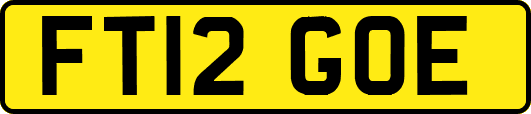 FT12GOE