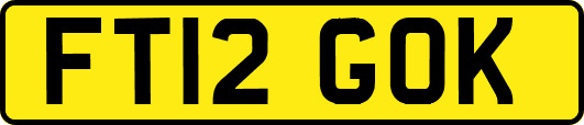 FT12GOK