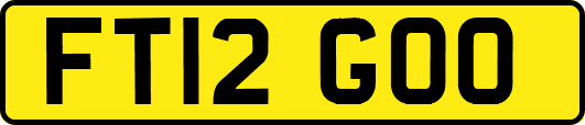 FT12GOO