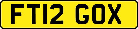 FT12GOX