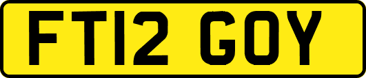 FT12GOY