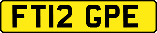 FT12GPE