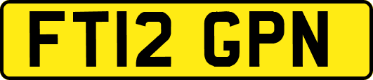 FT12GPN