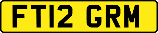 FT12GRM