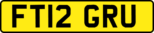 FT12GRU