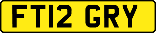 FT12GRY