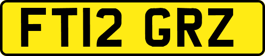 FT12GRZ