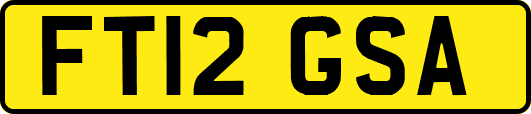 FT12GSA