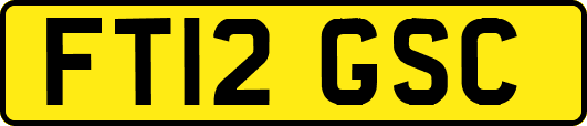 FT12GSC