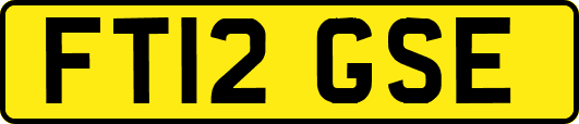 FT12GSE