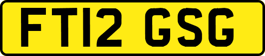 FT12GSG