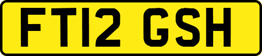 FT12GSH
