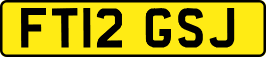 FT12GSJ