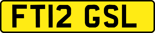 FT12GSL
