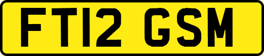 FT12GSM