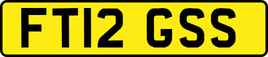 FT12GSS