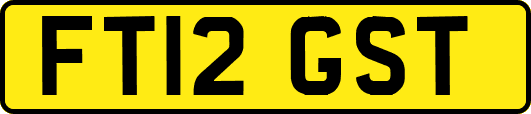 FT12GST