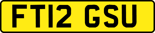 FT12GSU