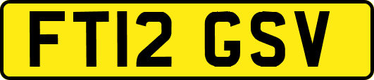 FT12GSV
