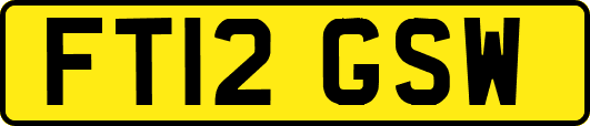 FT12GSW