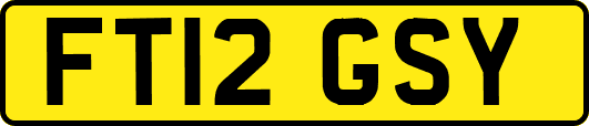 FT12GSY