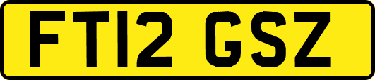 FT12GSZ