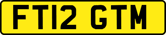 FT12GTM