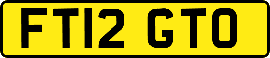 FT12GTO