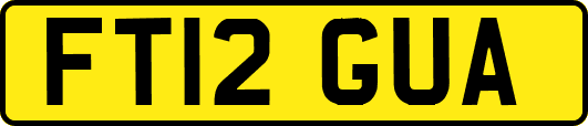 FT12GUA