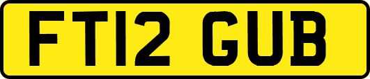 FT12GUB