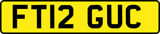 FT12GUC