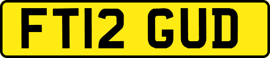 FT12GUD