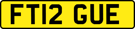 FT12GUE
