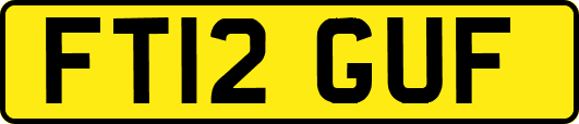 FT12GUF