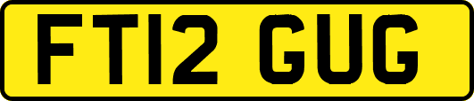 FT12GUG