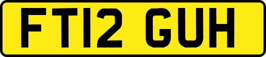 FT12GUH