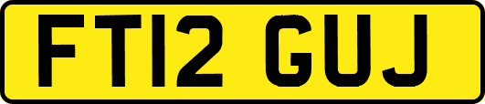 FT12GUJ