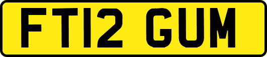 FT12GUM