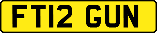 FT12GUN