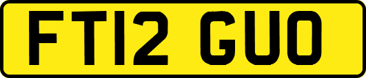 FT12GUO