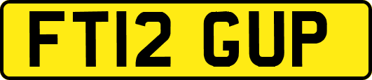 FT12GUP